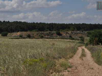 Per raggiungere la cava da Spinazzola percorriamo la provinciale 230 per dieci chilometri e poi svoltiamo sulla sp138. Dopo 2,5 km, all�altezza di un cartello scolorito dal sole con su scritto �Parco nazionale dell�Alta Murgia�, giriamo a destra su una strada sterrata, in localit� Senarico